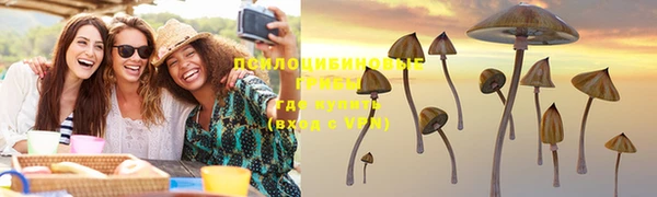 мяу мяу мука Михайловск